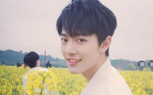 杨紫和肖战娱乐爆料